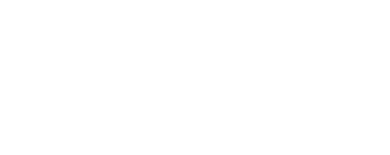 Arts Noguera